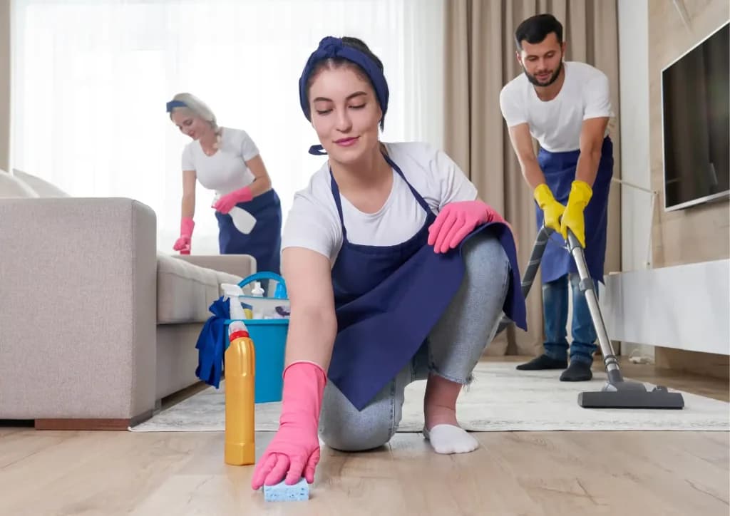 Website for Cleaning Services